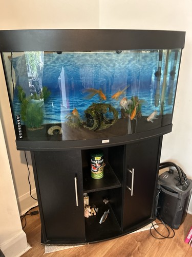 180l fish tank - cabinet, with
