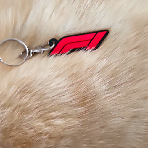 Formula logo keyring - formula, f1