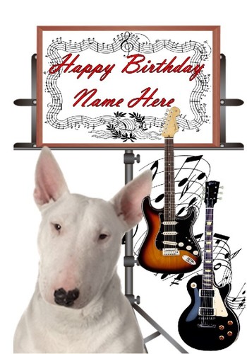 Fd242 bull terrier dog - pb&fd242,