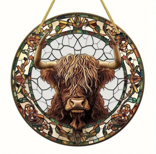 Stunning highland cow acrylic - highland,