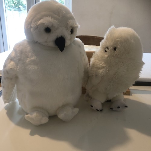 Harry potter two hedwig - harry,