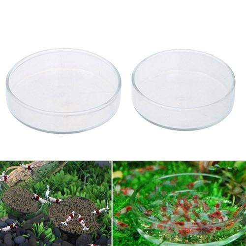 Clear acrylic shrimp feeding - clear,