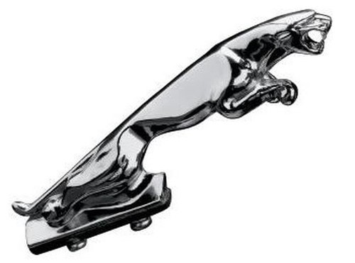 Fender ornament motorcycle - fender,