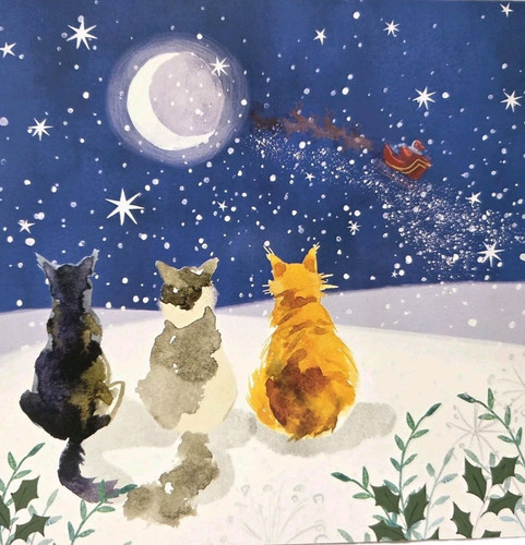 Christmas cards cats - christmas,