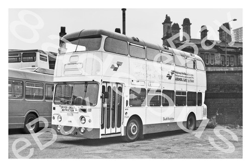 Bus photograph south - bus,
