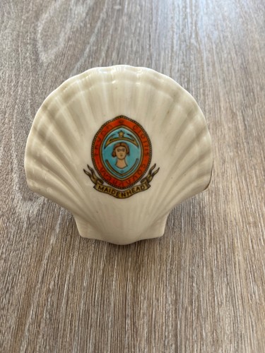 Shelley crested scallop shell - crested,