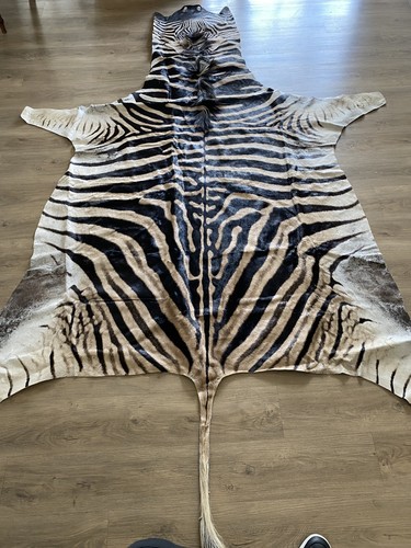 Zebra real skin rug - zebra,