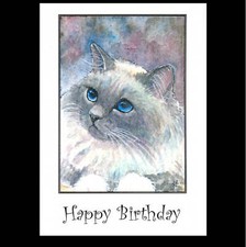 ORIG  BLUE BIRMAN CAT