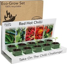 Chilli Plant Kit with 5 Seeds