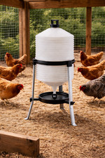 Chicken trap drinker 30l - trap,