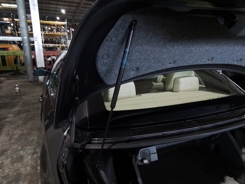 Boot tailgate support strut - or,