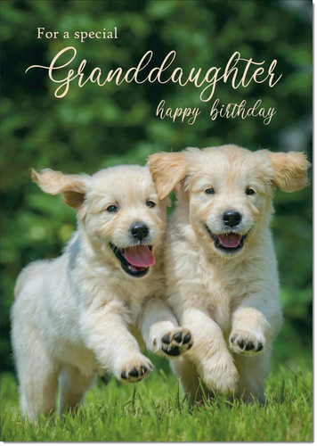 Doodlecards granddaughter - doodlecards,