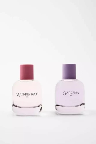 Zara wonder rose - zara,