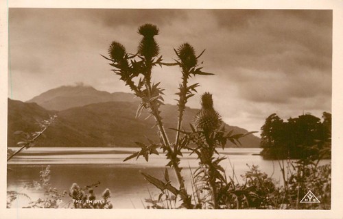 Inverbeg syha scottish - syha,