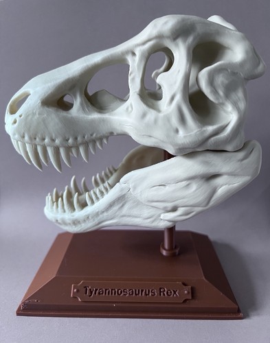 Printed tyrannosaurus - 3d-printed,