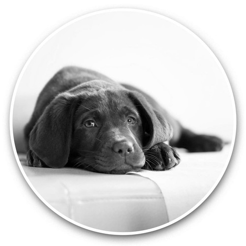 Vinyl stickers 10cm - 2,
