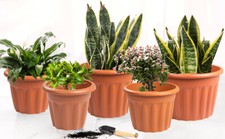 Set of 2 Round Small to Extra