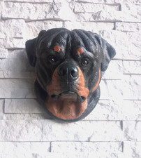 REALISTIC PAINTED STONE