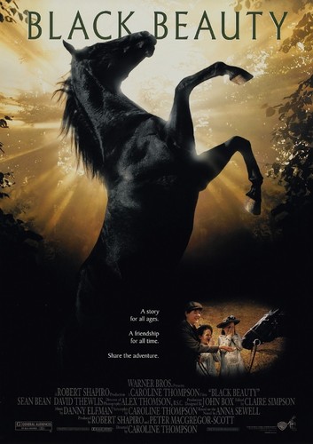 Black beauty poster - black,