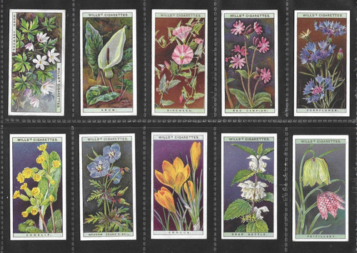 Wills wild flowers - wild, (1923)