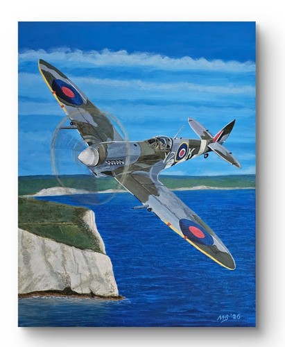 Spitfire acrylic painting by - "spitfire",