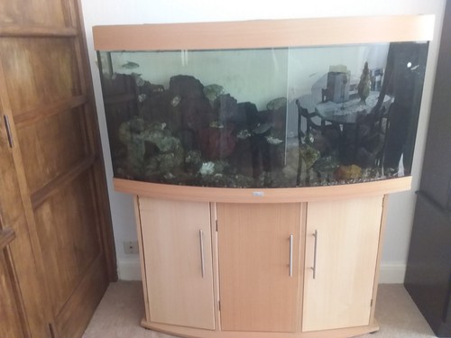 Juwel fish tanj - juwel, aquarium