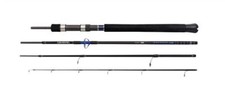 Daiwa Saltist Travel Spin Rod