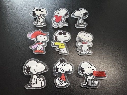 Snoopy acrylic pin - x,
