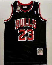 Chicago Bulls NBA Hardwood