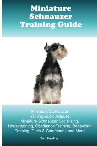 Miniature schnauzer training - schnauzer,