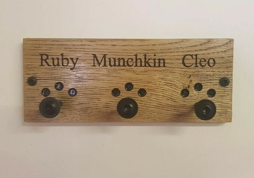 Personalised dog lead - dog,
