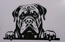 1x Cane Corso Dog Decal Vinyl Sticker Window Car Craft Glass Hobby Van 7x4inch