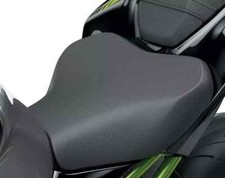 Kawasaki Z900 2020-2024 Rider
