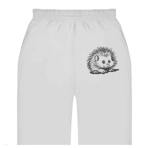 African pygmy hedgehog adult - pygmy,
