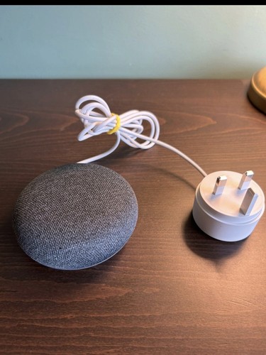 Google nest mini - nest,