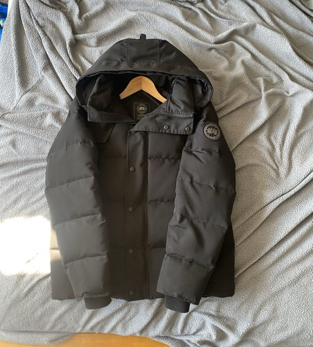 Canada goose arctic program - goose,