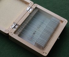 Celestron 25 Prepared Microscope Slides in Wooden Storage Box