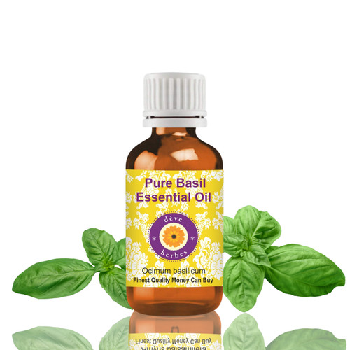 Basil essential oil - basil,