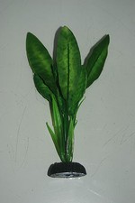 Aquarium Quality Silk Plant