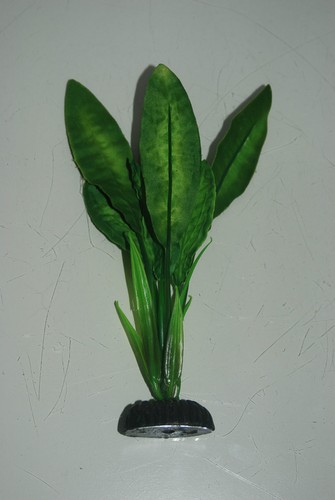 Aquarium quality silk plant - quality,
