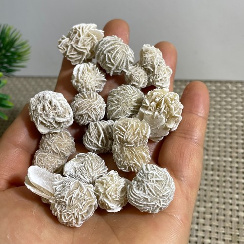 Desert rose mineral - rose, standard