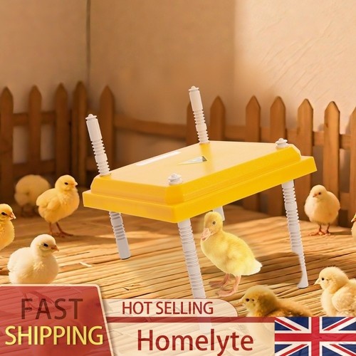 Chick brooder heating - chick,