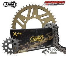 Aprilia RS125 06-12 AFAM 520