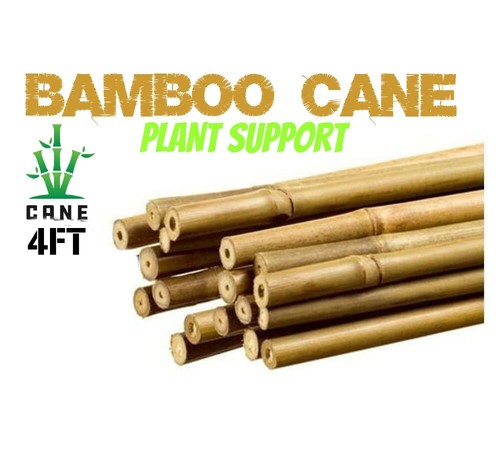 4ft bamboo garden - bamboo, heavy