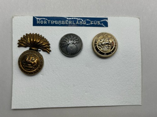 Northumberland fusiliers - northumberland,