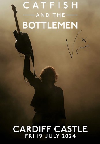Catfish and the bottlemen - catfish,