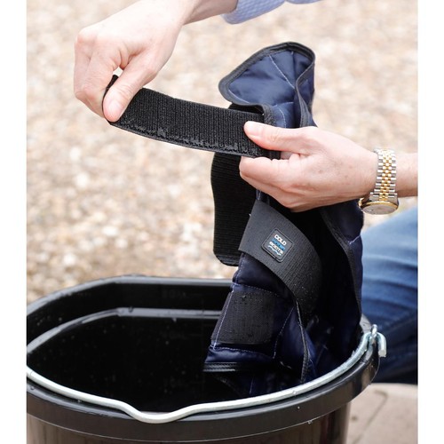 Premier equine cold - equine,