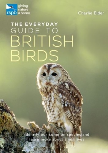 The everyday guide british - guide, to