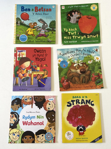 Welsh language books primary - 6,