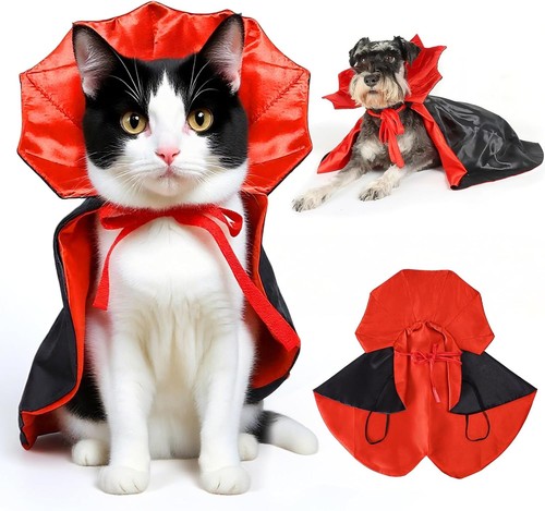 Christmas halloween dog - christmas, cat